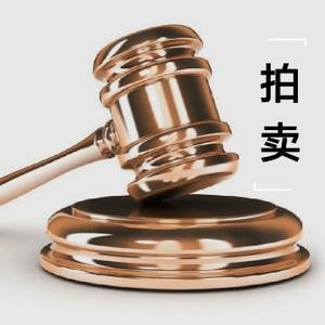 长沙浏河拍卖有限公司拍卖公告