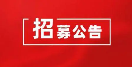 武汉聚信置业有限公司重整投资人招募公告