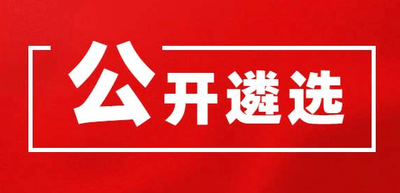 遴选矿产资源勘查、测绘机构的公告