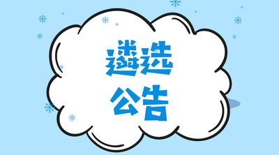 宁夏兰煤节净能源有限公司清算组遴选中介机构的公告